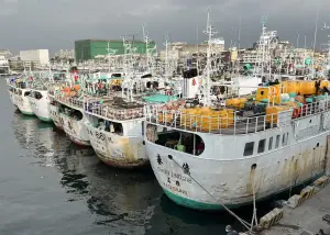 小犬颱風發海警！高雄市海洋局籲請漁友加強防範嚴防災害
