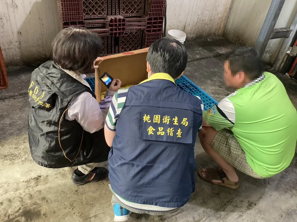 ▲桃園市衛生局查獲150噸美豬，產地被改成英國及加拿大。（圖／桃園市衛生局提供）