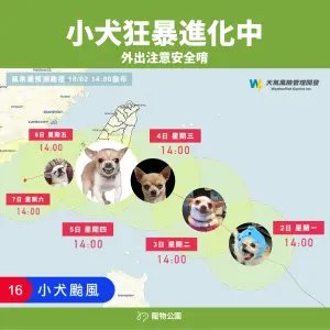 小犬颱風吉娃娃梗圖出籠！小犬今笑得你心裡發寒　明恐怖「吉」了
