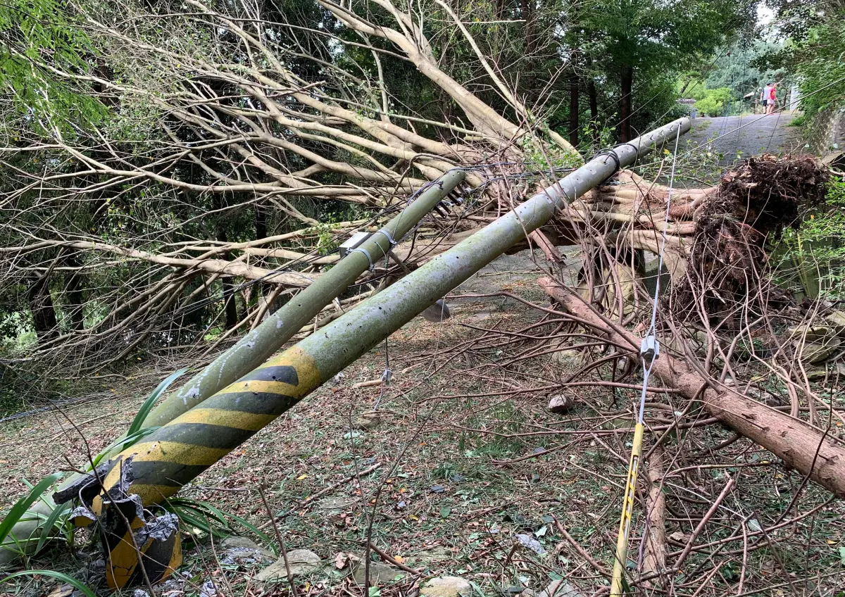 ▲小犬颱風發威，不少縣市都有電桿被吹倒，今影響台灣最劇烈，氣象署持續將16縣市納入陸上颱風警報警戒區。（圖／台電提供，2023.10.05）