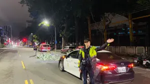 強風吹倒近百路樹 樹枝掉落高雄騎士摔車掛彩