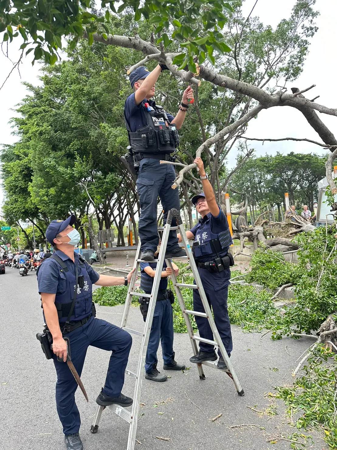 ▲小犬斷樹擋路 ，文正所員警挽袖鋸樹移除（圖/記者鄧力軍翻攝）