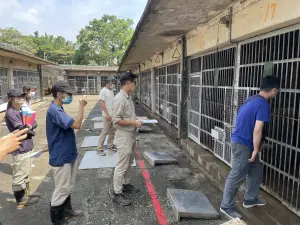 終於清點完!六福村狒狒確切數量出爐 竹縣:全數完成植晶片作業