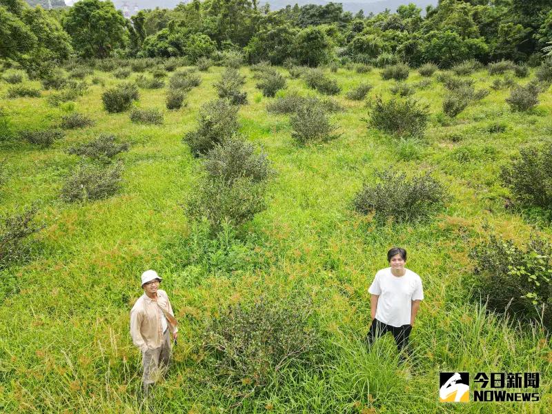 ▲茶籽堂致於復興苦茶油文化，並成立農業團隊，展開農業契作，更投入地方創生，推動南澳朝陽社區復興之路。（圖／記者葉政勳攝）