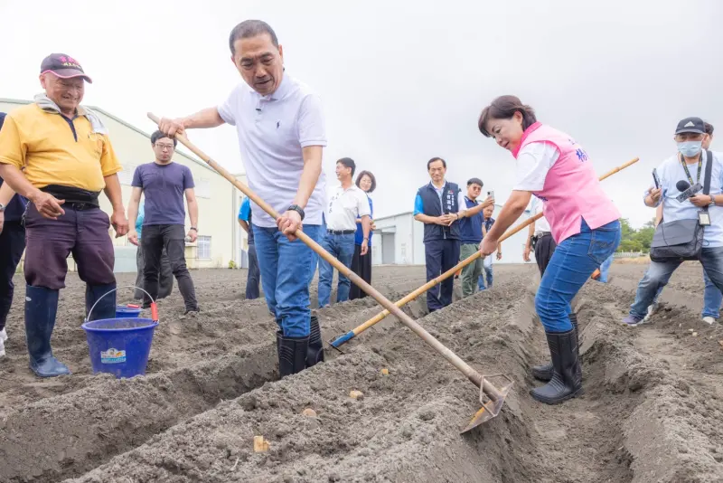 ▲國民黨總統參選人侯友宜到台中后里體驗種馬鈴薯。（圖／侯友宜競辦提供，2023.10.07）