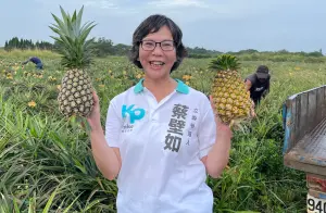 「若國民黨自認能獨贏大選」　蔡壁如：我就不懂藍白談判基礎在哪
