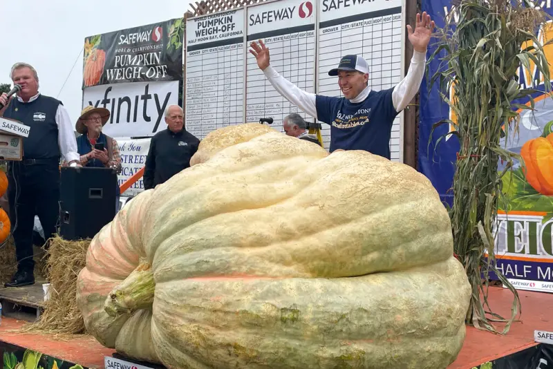 ▲明尼蘇達州園藝教師金傑（Travis Gienger）10日以重達2749磅的南瓜，贏得北加州年度南瓜秤重大賽冠軍。（圖／美聯社／達志影像）
