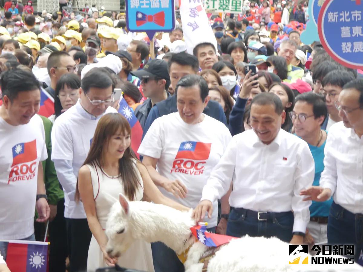 ▲歌手王宥忻帶著寵物羊駝「草泥馬」參加新北市雙十國慶升旗典禮，並與侯友宜與馬英九合影，遭到網友製作梗圖。（圖 ／記者吳嘉億攝，2023.10.10）