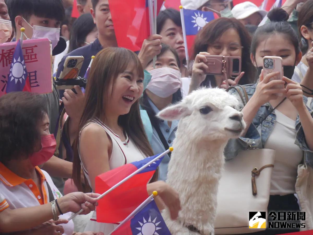 ▲新北雙十國慶升旗典禮，歌手王宥忻帶著萌寵羊駝驚喜現身，意外成為全場焦點。（圖 ／記者吳嘉億攝，2023.10.10）