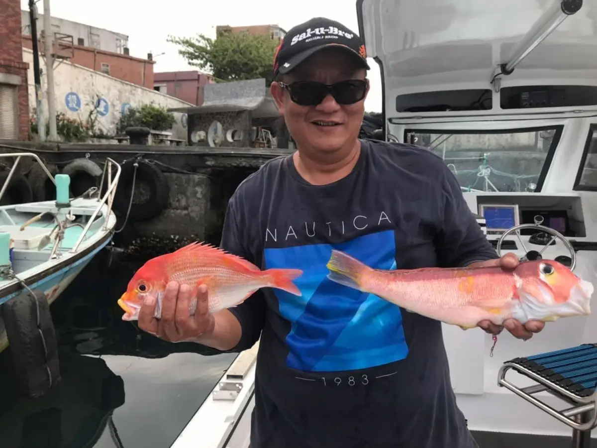 ▲貢寮區漁民蔡家源釣獲的漁獲，左邊為赤鯮，右邊為馬頭魚。（圖 ／新北市政府漁業處提供）