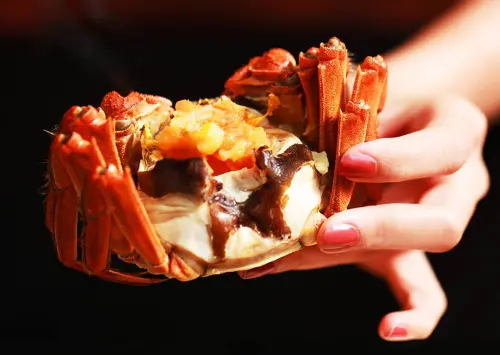 ▲每年9月到12月正式螃蟹最肥美的時候。圖為大閘蟹。（圖／台南遠東香格里拉提供）