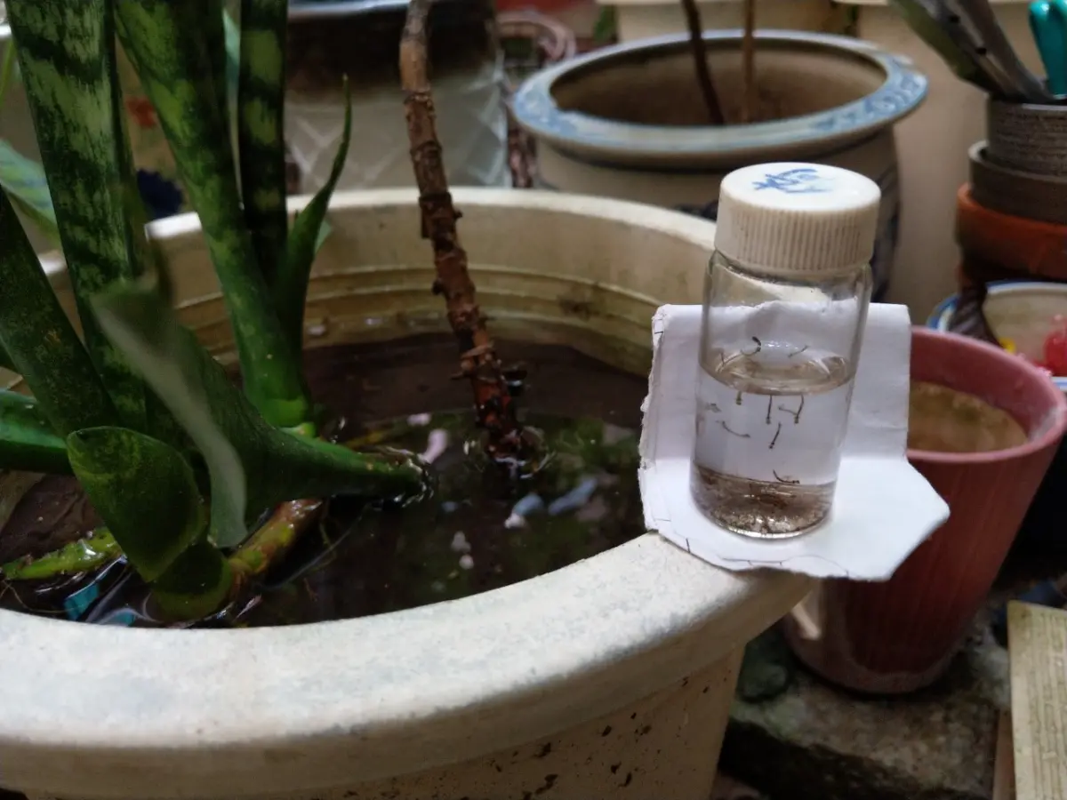 ▲高雄登革熱疫情爆發，讓許多基層人員人仰馬翻、疲於奔命。（示意圖／高雄市衛生局提供）