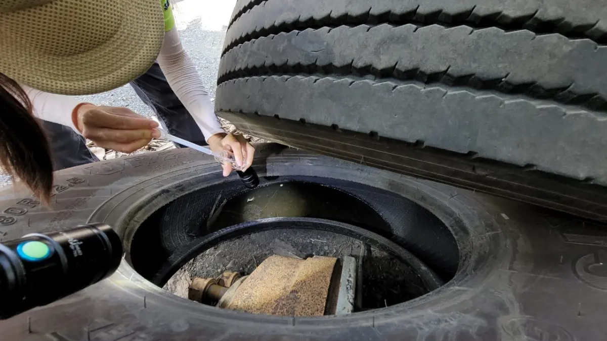 ▲高雄市為防治登革熱，幾乎是跨局處總動員，圖為查獲空地廢輪胎內積水孳生病媒蚊。（圖／高雄市衛生局提供）