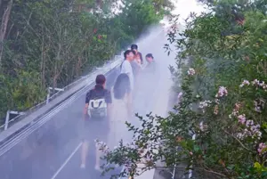 中國景區實施「無痛爬山」！山路增設手扶梯　視覺衝突引發爭議
