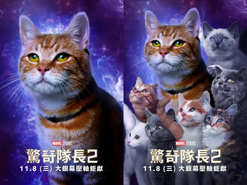 《驚奇隊長2》外星橘貓「呆頭鵝」及貓咪大軍「佛萊肯」角色海報亮相。(圖/迪士尼)