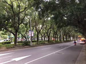 ▲敦化南北路近年有不少改建新案，不乏單價站上200萬。（圖／台灣房屋提供）