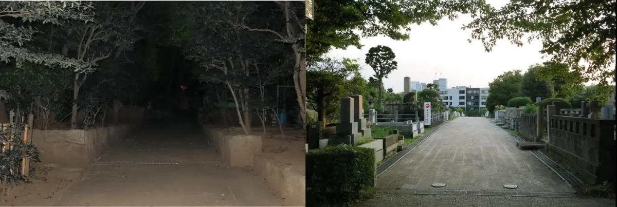 靈異,東京,歷史,墓園,公園