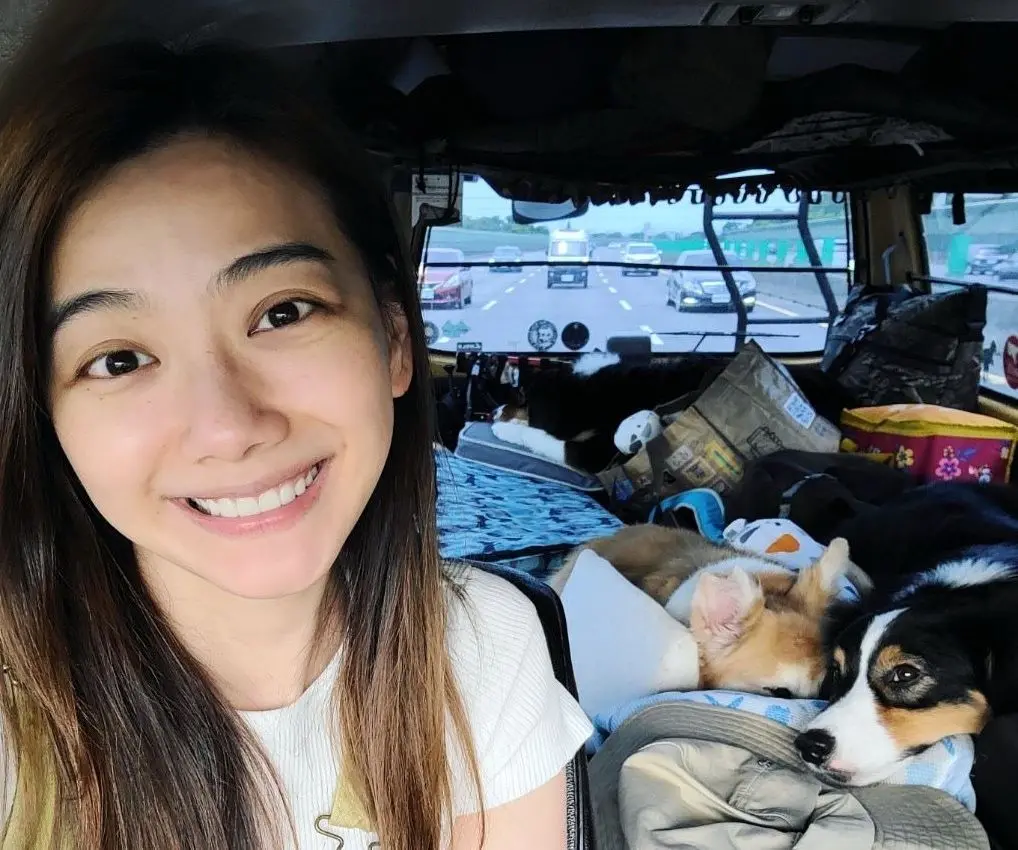 ▲邵庭宣布退出合夥的電商網站POPOLA與火鍋店涮辛酸的經營，只因想陪伴家人與更多時間關注流浪動物。（圖／邵庭提供）