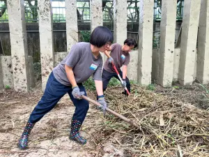 ▲負責大象展區的青年，化身保育員替非洲象清理家園。（圖／高市府青年局提供）