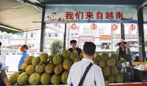 中國人吃掉全球91%榴槤！東南亞水果經濟崛起　需求量年飆升400％
