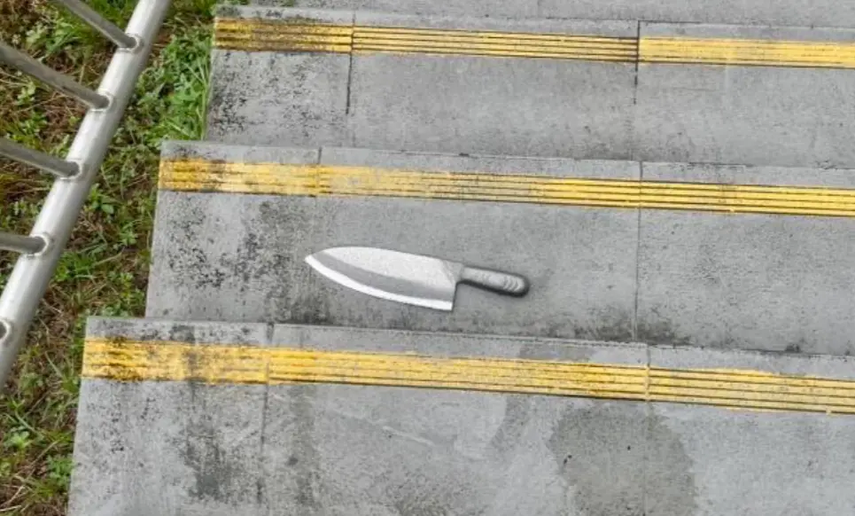 ▲2男相約新北大都會公園談判，一人亮刀攻擊，雙雙掛彩。（圖／翻攝畫面）