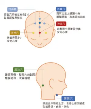 ▲失智穴位圖。（圖／台北醫學大學提供）