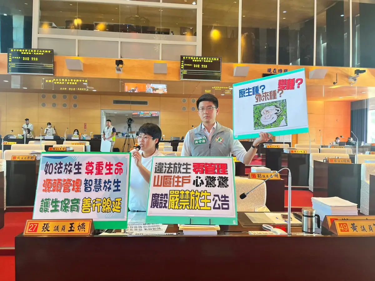 ▲市議員張玉嬿指出，太平區山上住戶，上月曾有人在住宅附近一周看到12尾，民眾也指證數次看見宗教人士違法放生(圖／柳榮俊攝2023.10.23)