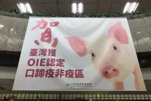 台灣,豬肉,外銷,出口
