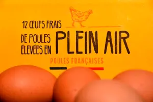 官民同心轉型凝共識　法國雞蛋產業優質有撇步
