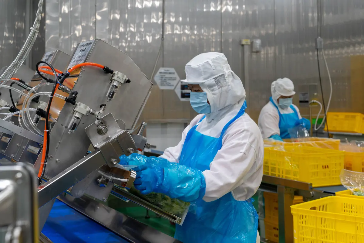 ▲食材管理全程低溫環控，嚴謹且合規的高品質把關。（圖／品牌提供）