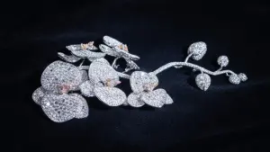 台灣蘭花躍升鑽石精品　兩千顆頂級鑽石展蘭花高貴優雅
