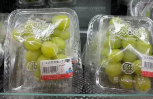 PE盒裝麝香葡萄,大小不到9房級,因此價格比較優惠。(圖/記者鍾怡婷攝) ▲PE盒裝麝香葡萄,大小不到9房級,因此價格比較優惠。(圖/記者鍾怡婷攝)