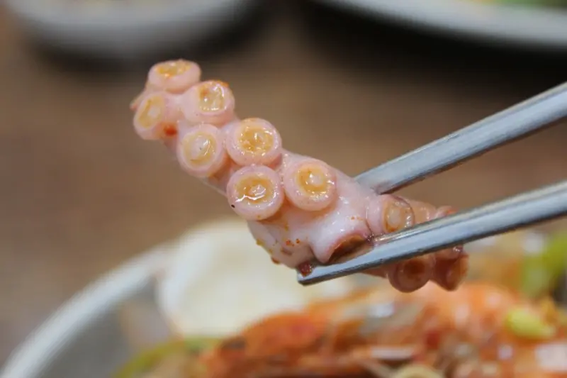 ▲韓式活章魚在韓國是許多觀光客必嘗試、民眾愛吃的特色美食之一,但這道料理也可能導致窒息死亡。(圖/取自Pixabay)