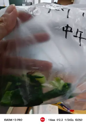 ▲基隆銘傳國中校方將營養午餐中發現的菜蟲裝袋保存。（圖 ／基隆市政府提供）