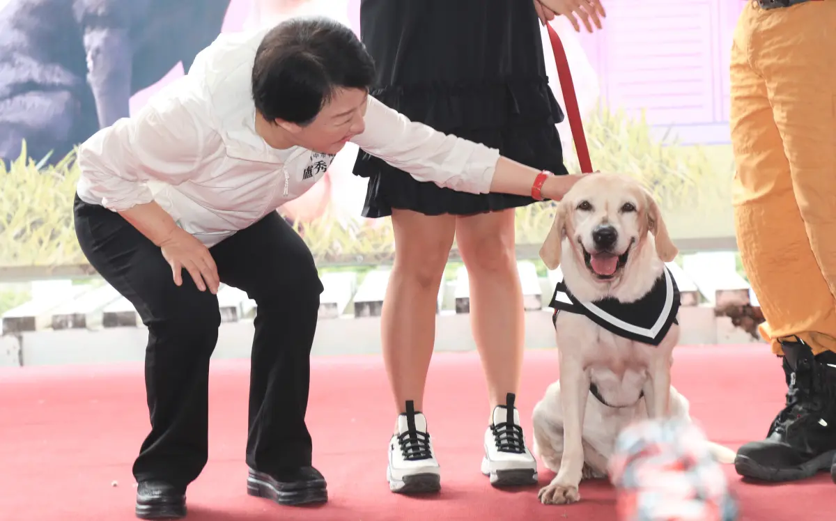 ▲鐵雄是9歲的拉不拉多公犬，擅長瓦礫堆搜索、原野搜索、氣味辨識。（圖／台中市政府提供，2023.10.28）