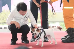 ▲「本丸」外型嬌小可愛，是消防局的超級人氣王。（圖／台中市政府提供，2023.10.28）