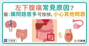 左下腹痛常見原因？醫：腸問題居多可按按，小心其他問題！
