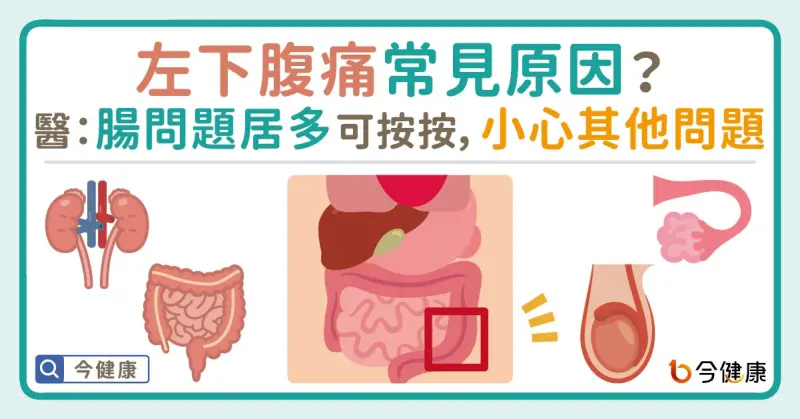 ▲左下腹痛常見原因？醫：腸問題居多可按按，小心其他問題！