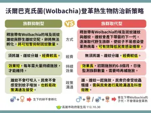 ▲沃爾巴克氏菌（Wolbachia）登革熱生物防治新策略。（圖／高雄市衛生局提供）