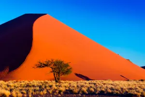 ▲納米比亞沙漠閃耀著粉紅色光芒，是攝影家鏡頭下的天堂。（圖／佳繽旅遊提供）
