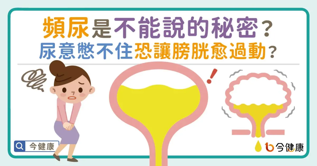 ▲頻尿是不能說的秘密？尿意憋不住恐讓膀胱愈過動？
