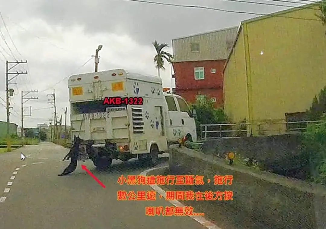 ▲民眾開車驚見黑狗遭大車吊掛拖行數公里，按喇叭警示也不見回應。（圖／翻攝「桃園在地生活大小事」）
