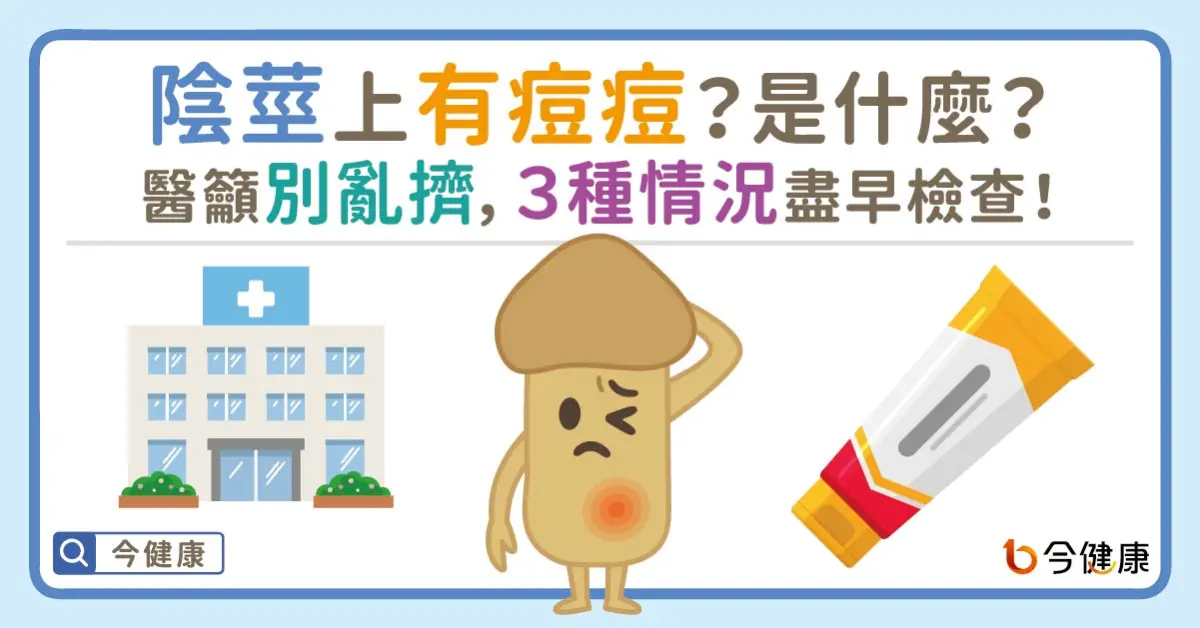 ▲陰莖上有痘痘？是什麼？醫籲別亂擠，３種情況盡早檢查！