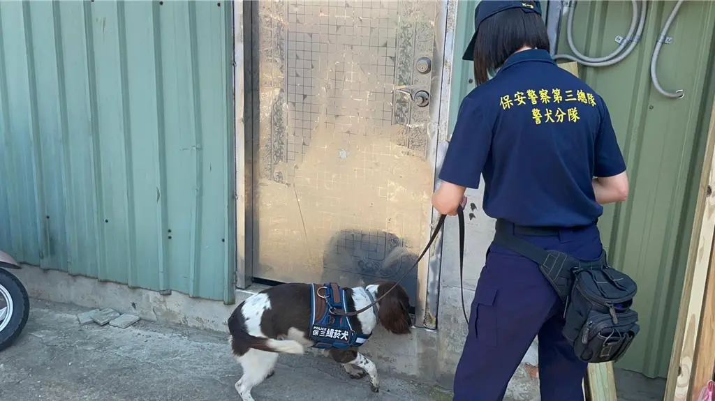 ▲警犬隊緝菸犬執行嗅聞任務，循線查獲低劣菸草存置倉庫。（圖／保安警察第三總隊第一大隊）