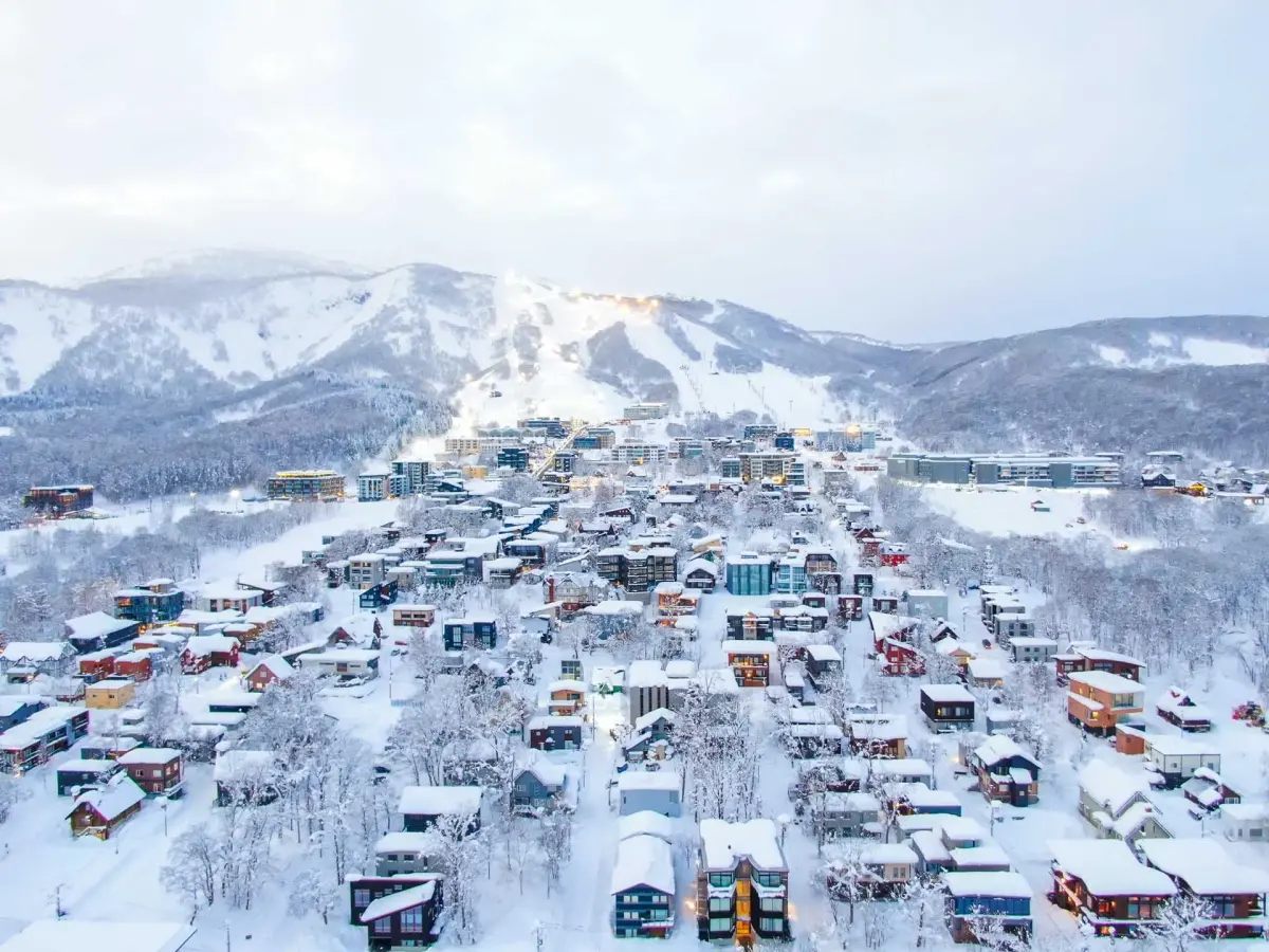 ▲台灣人近來瘋在日本置產，和去年同期相比成長4至6成，「簡直買爆了」。（圖／Niseko Tourism臉書）