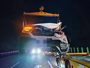 台南國道小鹿亂撞！小客車反應不及當場撞飛
