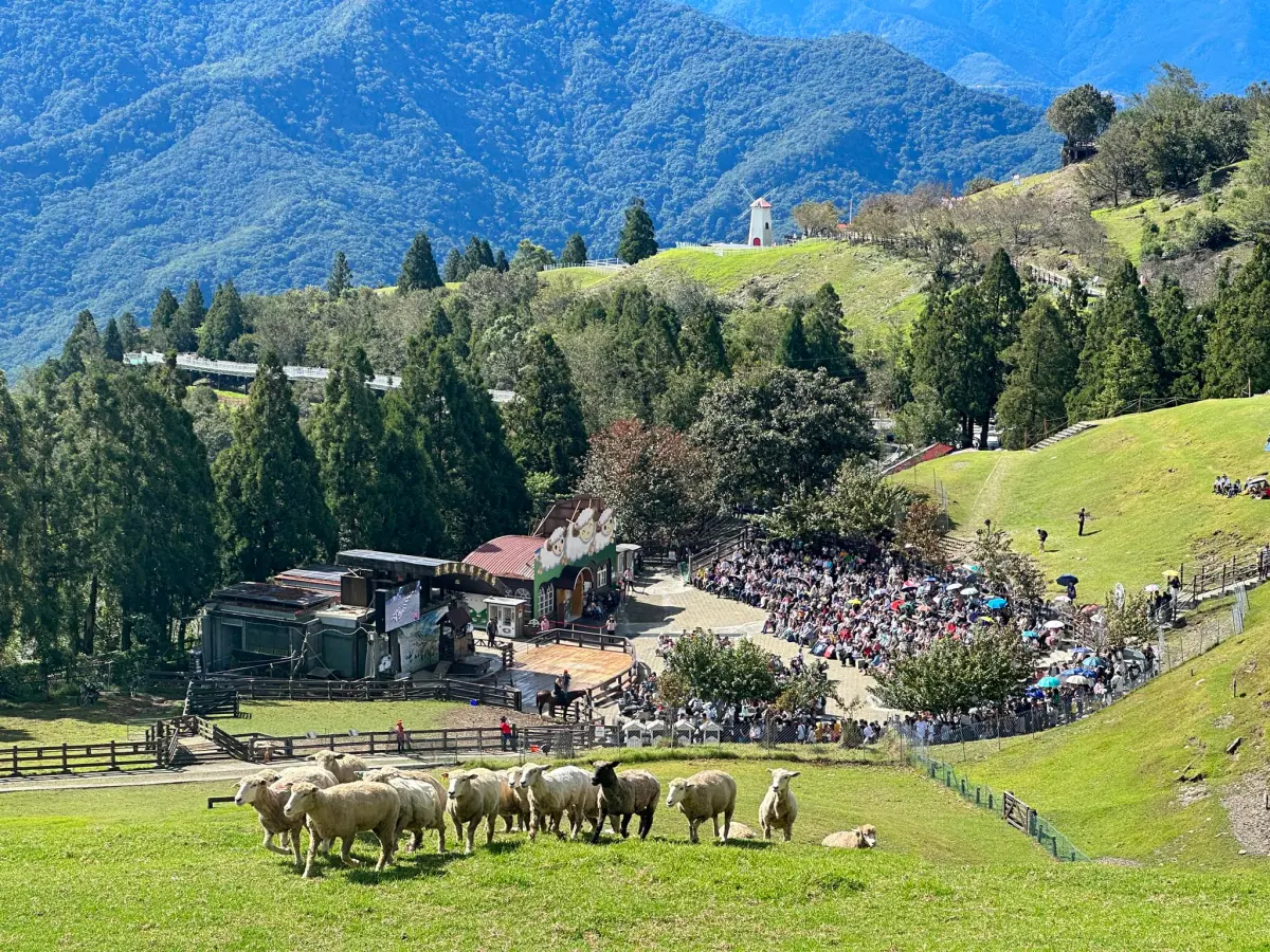 ▲清境農場有著許多豐富活動以及絕美景色，成為許多民眾休假最愛的去處，但近年來露營風潮興起，卻讓當地的停車場也顯現了「車露」亂象（圖／清境農場臉書）