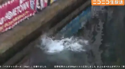 ▲大阪的道頓崛更擠滿大批球迷，更率先有一位準備好泳裝的女性跳入河中。（圖／取自nicovideo）