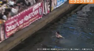 ▲阪神虎女球迷提前準備好泳裝，在確定封王後跳入道頓堀川。（圖／取自nicovideo）