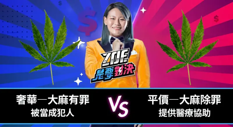 ▲李菁琪認為,逮捕施用大麻者成本高,應以行政罰即可。(圖/綠黨臉書)
